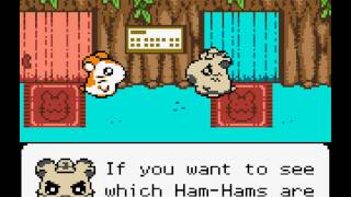 Lets Play Hamtaro HamHams Unite Part 1  Cute and Cuddly [upl. by Polky253]