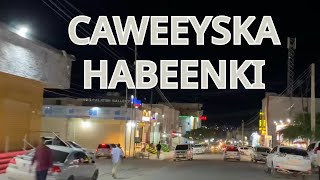 HARGEISA CAWEEYSKA HABEENKI 2024 [upl. by Nauqes]