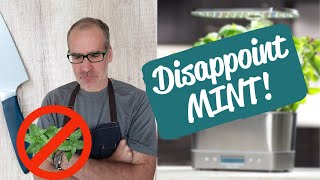 What a Disappoint MINT  AeroGarden Harvest Elite Review  Day 17 [upl. by Weisberg44]