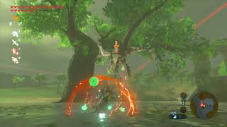 The Legend of Zelda Breath of the Wild EX Die Krone der Schatten [upl. by Ielak64]