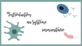 Introduction au système immunitaire inné et adaptatifImmunologie [upl. by Caddric541]