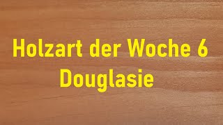 Holzart der Woche 6 – die DOUGLASIE Unterschiede zur LÄRCHE [upl. by Enelhtac]