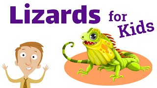 Lizards for Kids  Homeschool Pop [upl. by Thompson]