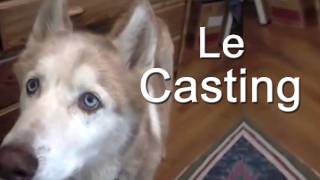 LE CASTING  PAROLE DE CHIEN [upl. by Saw390]