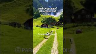 PARALOGA CHINDHA 🤲quran islamichadees youtubeshorts youtube explore motivation viralvideo [upl. by Merle96]