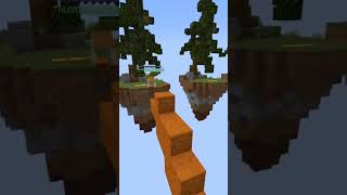 I Tried telly bridging in Minecraft Brizerland server [upl. by Aicilif]