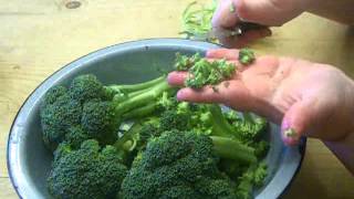 How to Make THE BEST Broccoli Salad [upl. by Himelman]