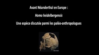 Avant Néandertal en Europe  Homo Heidelbergensis 13 [upl. by Onaivlis746]