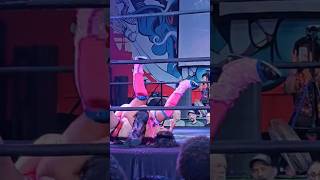 Cradle Pin womenswrestling [upl. by Irby]