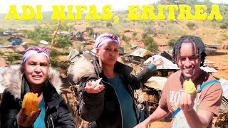 መገሻ ናብ ዓዲንፋስ ምስ ወደይ  Visiting Adi Nifas Eritrea Village  Eating BELES Fruit eritrea [upl. by Cranston]