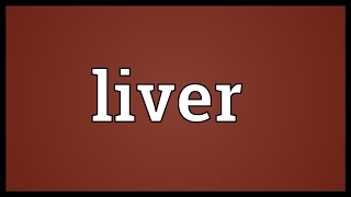 Liver Meaning [upl. by Ynnus]