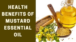 Natural Health Benefits of Mustard Essential Oil  EOraganic Facts [upl. by Ellenor949]