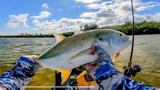 It was a feeding FRENZY in Tampa Bay Trolling motor update Newport Vessels 55 [upl. by Alimaj]