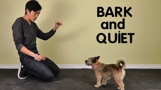 Teach Dog to Stop Barking  Bark and Quiet on Cue [upl. by Cavanaugh]