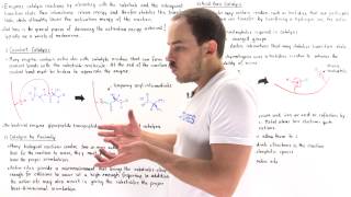 Mechanisms of Enzyme Catalysis [upl. by Adolphus]