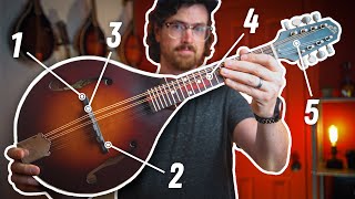 How to SETUP a Mandolin in 5 Steps [upl. by Enomyar481]