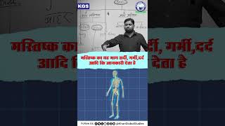 आइये जानते हैं मस्तिष्क के भाग और उनके कार्य l khansir khanglobalstudies ytshorts science brain [upl. by Foley]