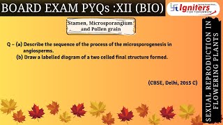 Describe the sequence of the process of the microsporogenesis in angiospermsb Draw a labelled d [upl. by Tica995]