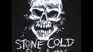 Stone Cold Steve Austin Classic Theme Song [upl. by Ynattib]