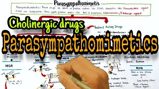 Cholinergic drugs Parasympathomimetics classification and mechanism of action [upl. by Pascia]