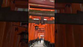 Exploring Fushimi Inari Shrine in Kyoto [upl. by Lahcym654]