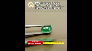 Emerald Natural Zambian Panna VVS  EM 1266 295 Carats  Oval Shape  Narayan Astro India [upl. by Rifkin464]