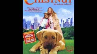 Chestnut Hero Of Central Park by Brahm Wenger Chestnuts Theme 2004 [upl. by Nylorak]