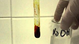 Fluorescein synthesis [upl. by Etteiram]