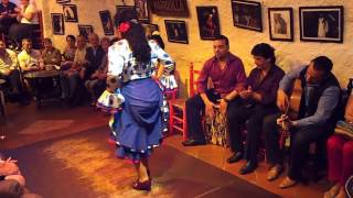 Flamenco Dance by Spanish Gypsies Part 3 [upl. by Llerruj]