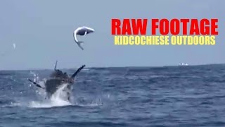 600lb MARLIN ATTACKS DORADO  RAW FOOTAGE AS REQUESTED [upl. by Yenaled589]