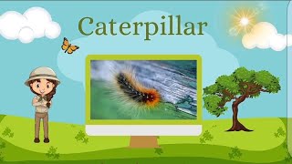 Caterpillar Poem by Christina Rossetti Performed by Vanna [upl. by Sallie]