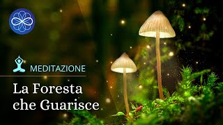 Meditazione guidata guarigione fisica  La foresta che guarisce [upl. by Demha735]