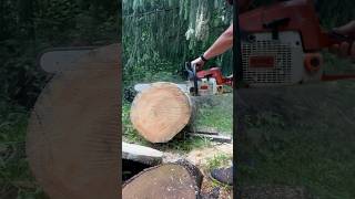 Stihl 039 red lever chainsaw making a cut [upl. by Nednyl146]