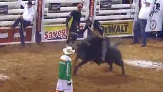 Montaria em touro campeã da PBR Barretos 2014 [upl. by Aihselef]