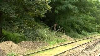 La petite ceinture à Paris [upl. by Yclek978]