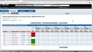 DIBELS Progress Monitoring [upl. by Gerfen]