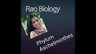 Phylum Aschelminthes [upl. by Sinnel]