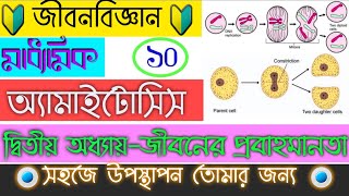 অ্যামাইটোসিসPart9 কোশ বিভাজন  Amitosis  Cell Division  জীবনের প্রবহমানতা  Madhyamik [upl. by Anev460]