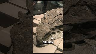 What a One in a billion dinosaur fossil looks like [upl. by Schlenger]