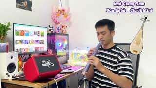 Nhớ Giang Nam  Clarii Cover  Đàn tỳ bà  Wind Synthesizer Clarii [upl. by Bessy288]