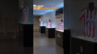 Zonas VIP Resumen temporada [upl. by Rolandson673]