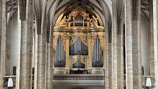 The Great 1714 Gottfried Silbermann Organ at Freiberg Cathedral Germany  Demonstration of Stops [upl. by Meagan]