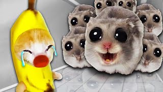 Banana Cat vs Sad Hamster A Tale of Fear 🐱 Baby Banana Cat Compilation  Happy Cat Crying MEME 😿 [upl. by Snebur]