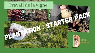 Tuto Comment planter une greffe  Comment planter la vigne  Plantation [upl. by Liuka718]