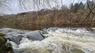 Belgium 20230416 Packrafting Semois Chassepierre  Mortehan [upl. by Lenwood]