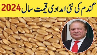 wheat price in pakistan 2024 [upl. by Alyahsat613]