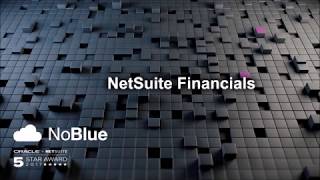 NetSuite Financials Demo [upl. by Stanly481]