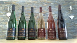 1 Online Weinproe Weingut Comes [upl. by Gordon869]