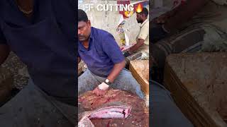 KASIMEDU 🔥 SPEED SELVAM BLACK SPADE FISH CUTTING VIDEO kasimeduselvam fishcutting youtubeshorts [upl. by Wilone35]