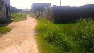 sha hassan town chakwal 03331426512 [upl. by Notxed]